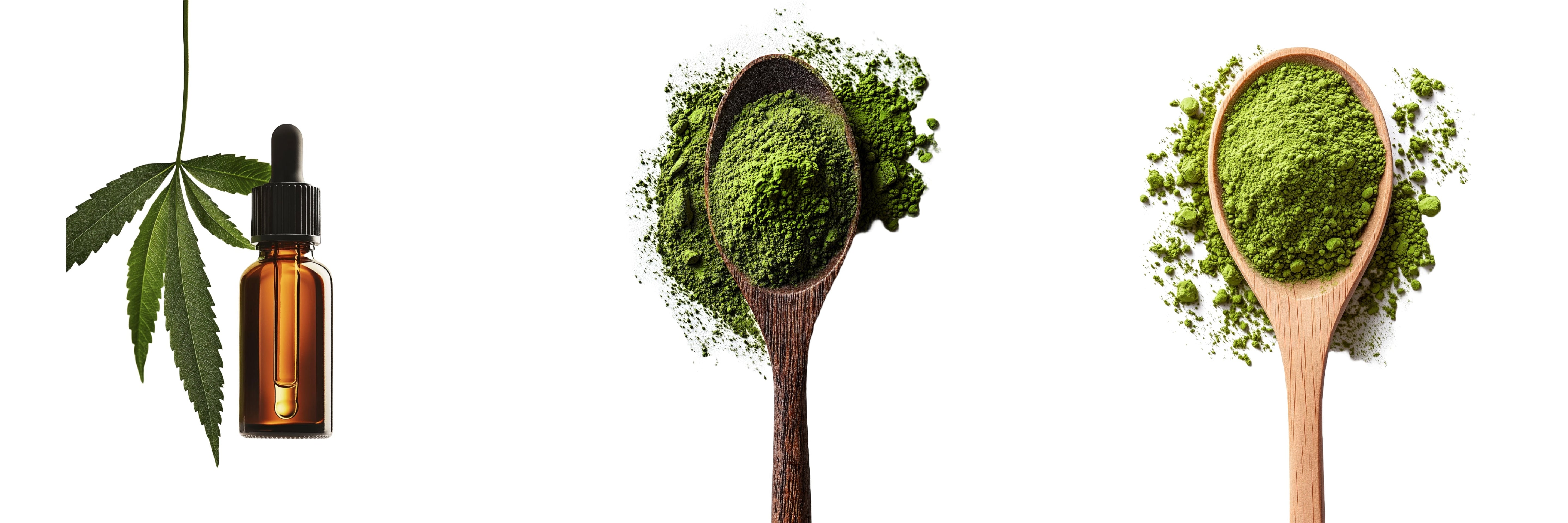 spoons of cannibidiol powder